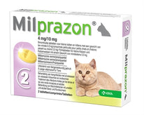 >0,5 KG 4 MG/10 MG 2 TBL (409913)