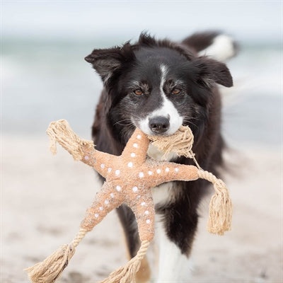 Trixie Be Nordic Zeester Jane Pluche / Touw Beige