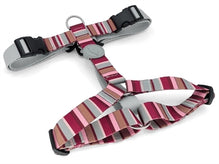 60-80X2,5 CM (413656)