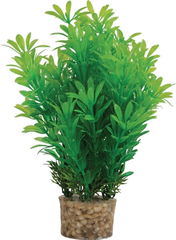 Zolux Ornament Pastic Plant Op Stenen Neutraal Assorti