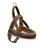MEDIUM 52-62X2,5 CM (72507)